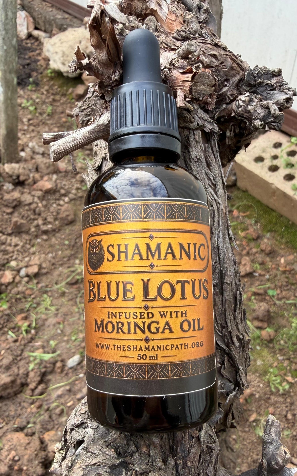 100% Pure Cold-Pressed Moringa Oil Infused With Blue Lotus