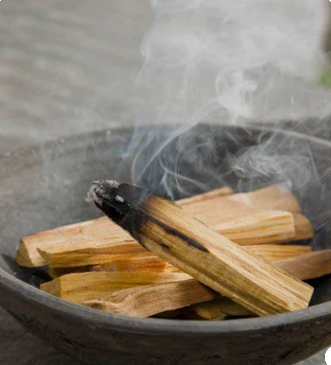 PALO SANTO