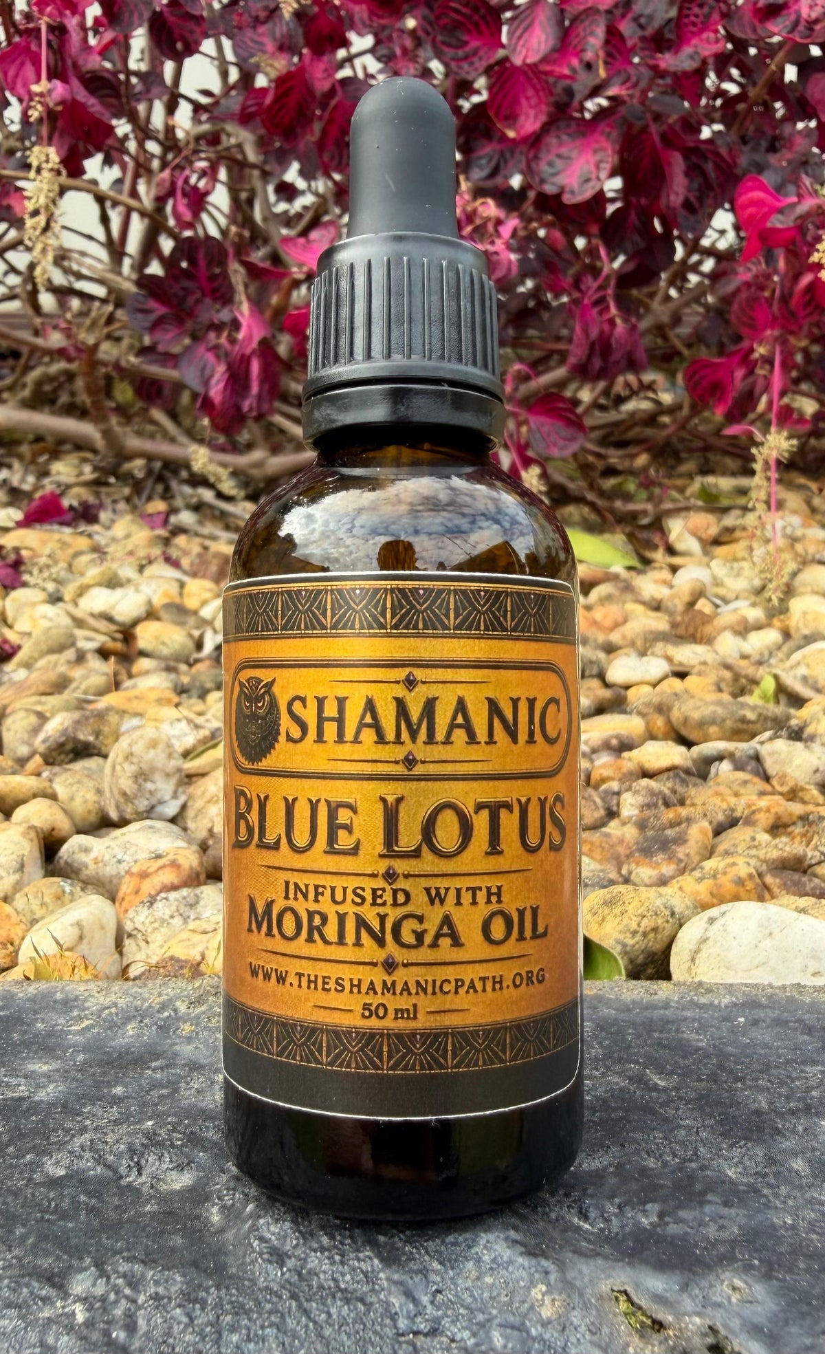 100% Pure Cold-Pressed Moringa Oil Infused With Blue Lotus