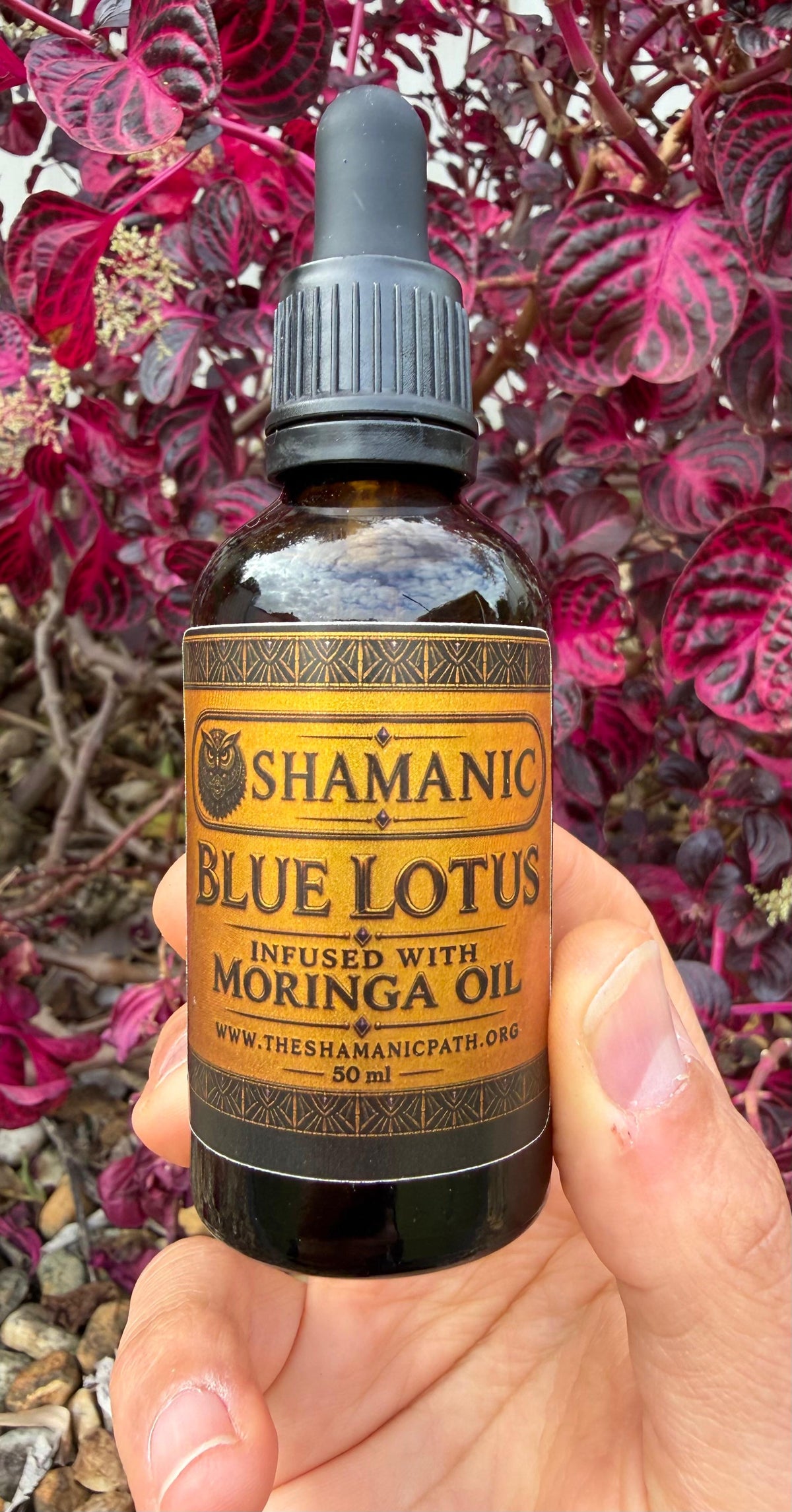 100% Pure Cold-Pressed Moringa Oil Infused With Blue Lotus