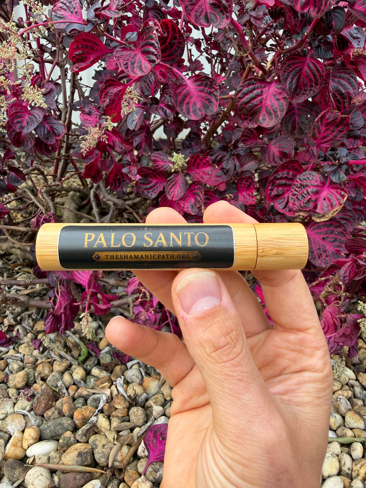 Bamboo Roll On - Palo Santo