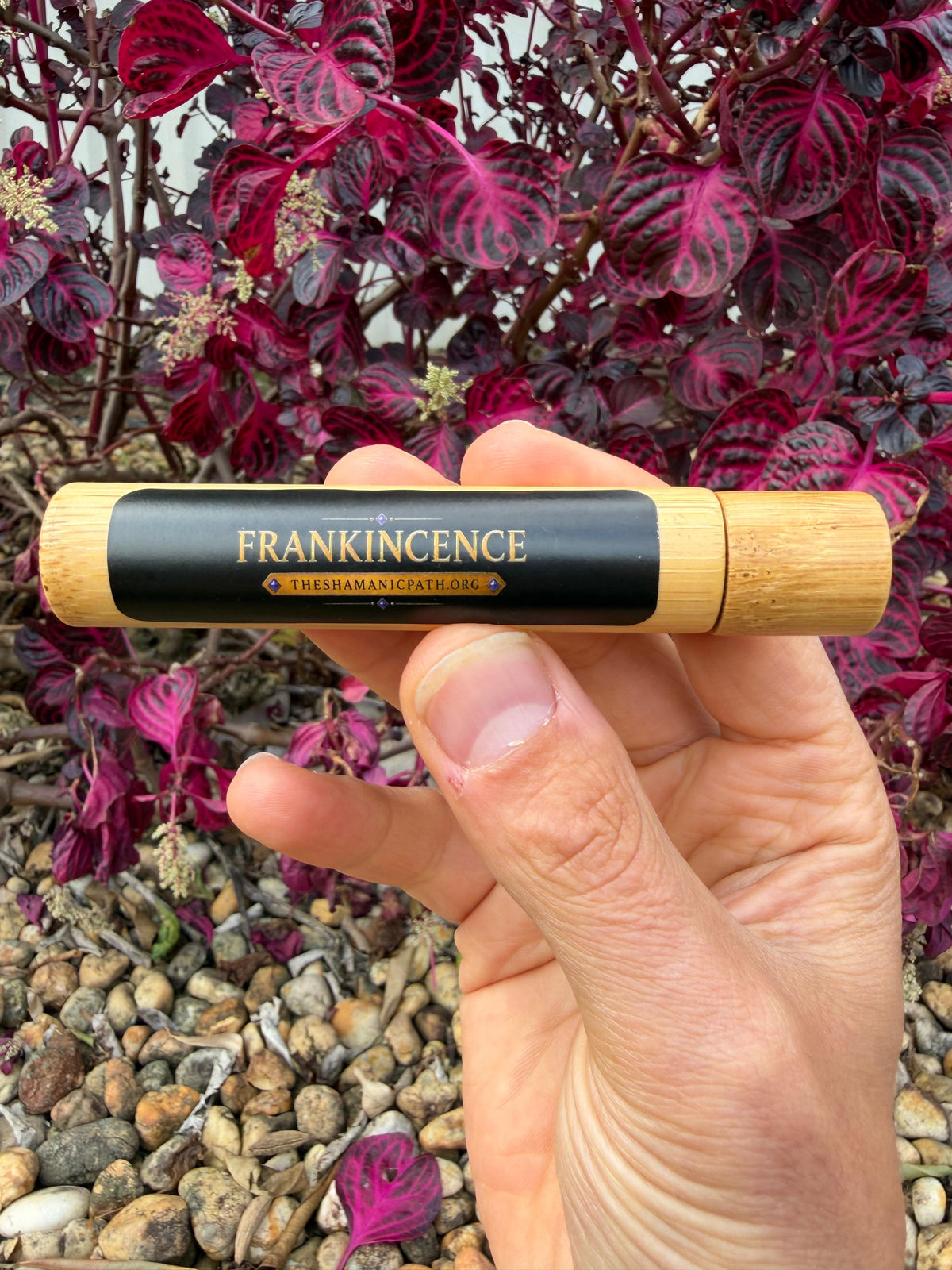 Bamboo Roll On - Frankincense